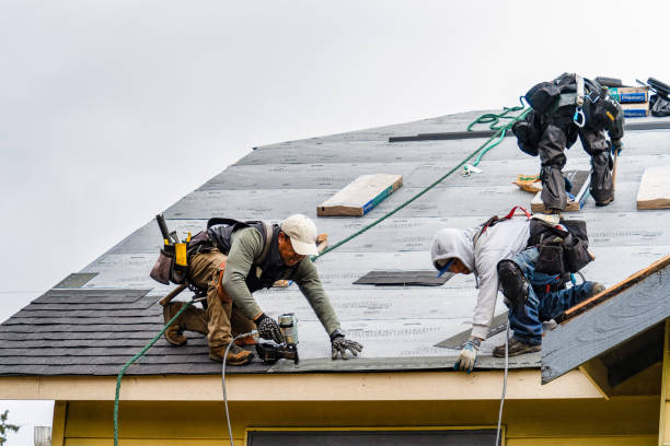 Professional Roofing technician working in Higginsville, MO